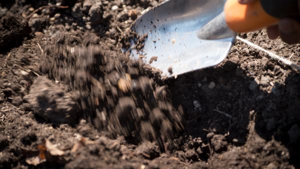 Planting trowel